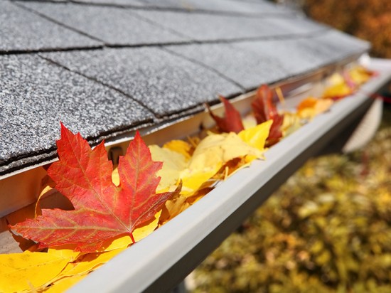 gutter with dried leaves